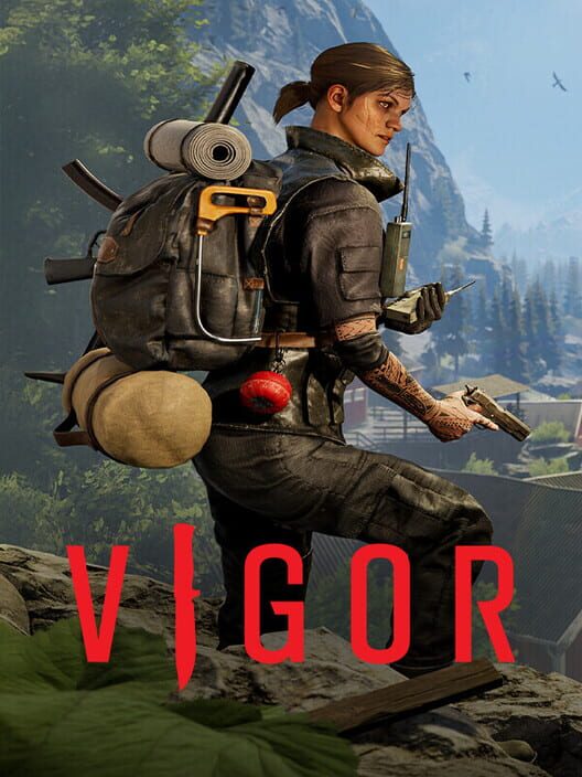 Copertina del videogioco Vigor
